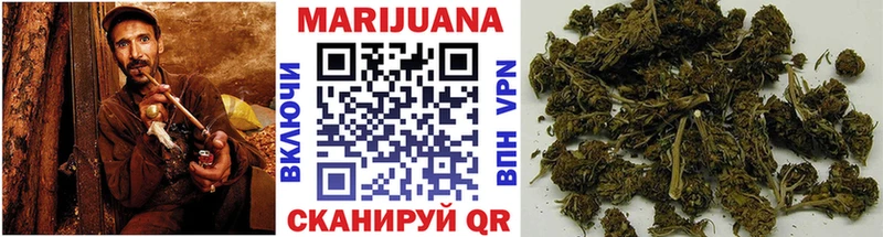 Канабис семена  магазин    Бологое 